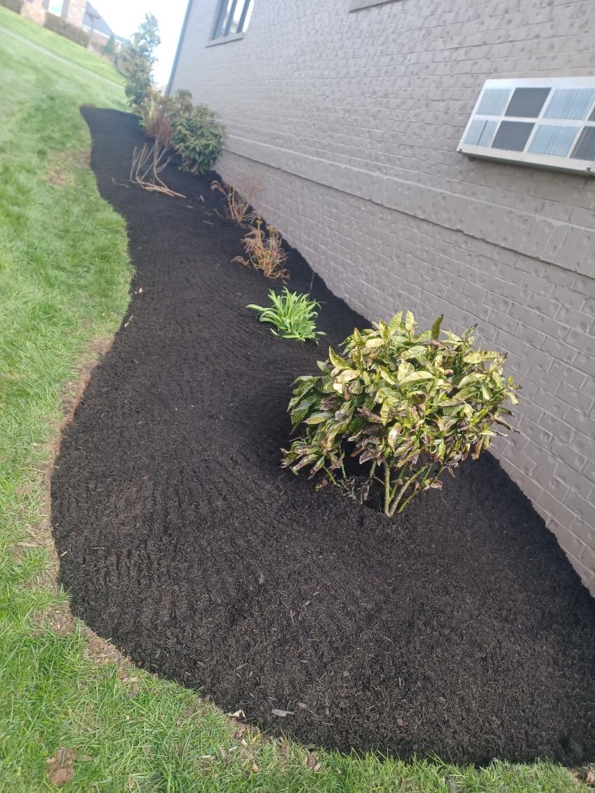 Landscapers Near Me