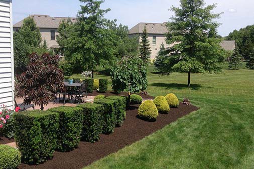 Landscape Services